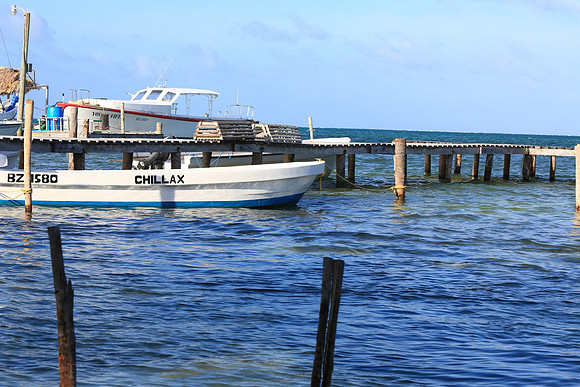 2014-04-26_D-CayeCaulker_260