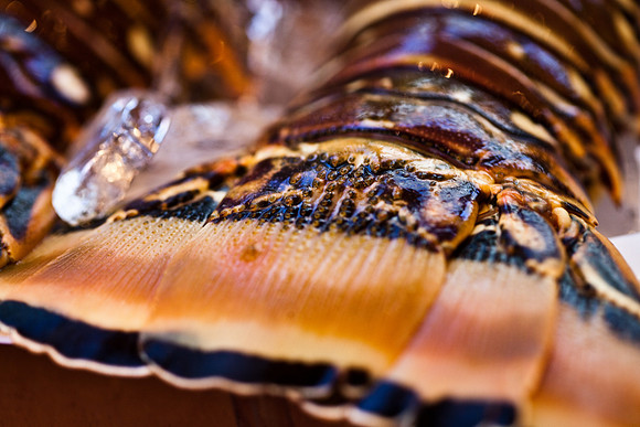 Food11_ElvisK_018