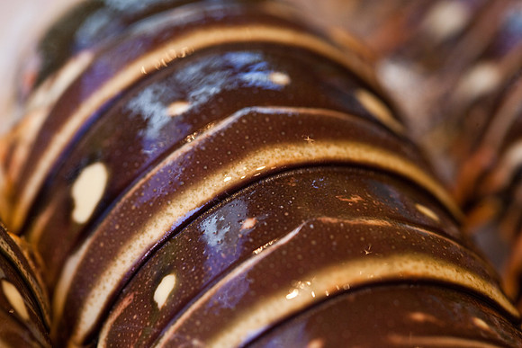 Food11_ElvisK_021