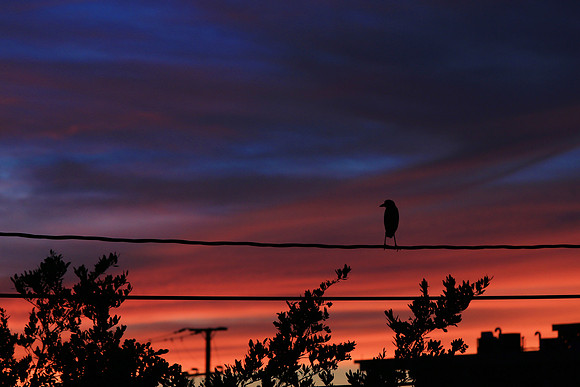 Sunset11_AC_004