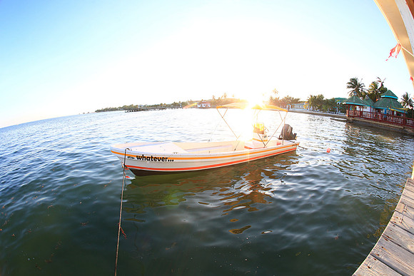 WED_5407