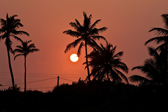 Sunset11_AC_001