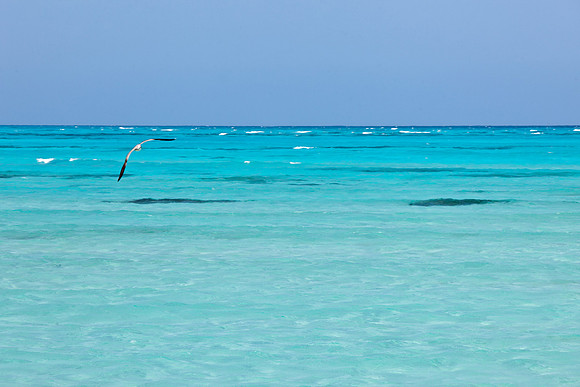 VAC12_SandBar_1
