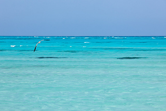 VAC12_SandBar_1