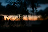 2025_10-29_0012