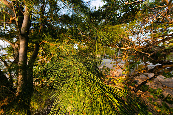 2025_11-01_0097