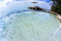 WED14-05-05_CE_014