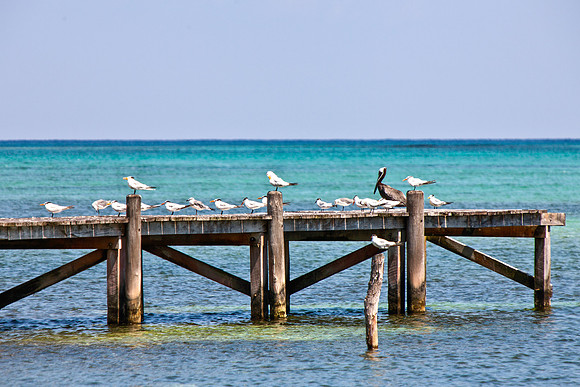 AmbCaye057