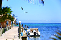2015-10-Stock-Portofino025-web