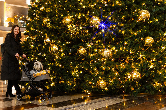 2025-12-29_0579