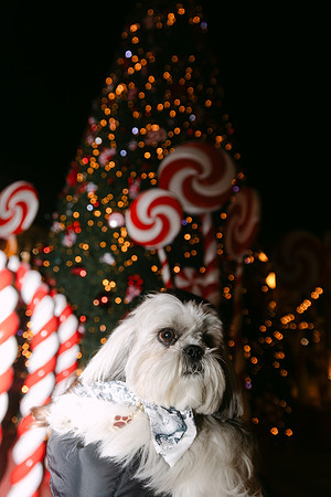 2025-12-29_0842