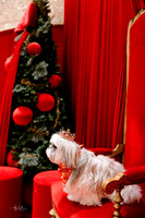 2025-12-29_0338-l