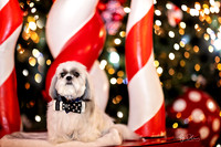 2025-12-29_0830 -l