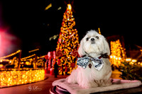 2025-12-29_0943-l