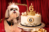 PortretCake_bond