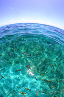 more sea photos
