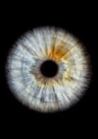 Renata - Iris drept _ A4 300 dpi