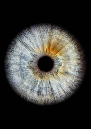 Renata - Iris drept _ A4 300 dpi