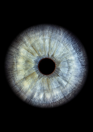 Amalia - iris stang _ A4 300 dpi