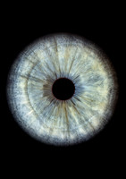 Amalia - iris drept A4 300 dpi