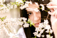 2026-03-20_138 -l