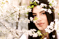 2026-03-20_105-l