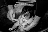 2026-07-26_-091-bw-l