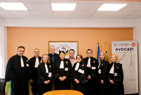 ConsiliulHD-060 copy