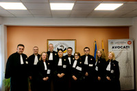 ConsiliulHD-060 copy