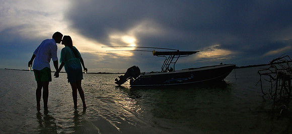 E15_aug27_074-crop-pan