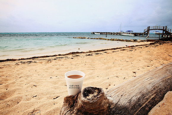 ACaye-morning