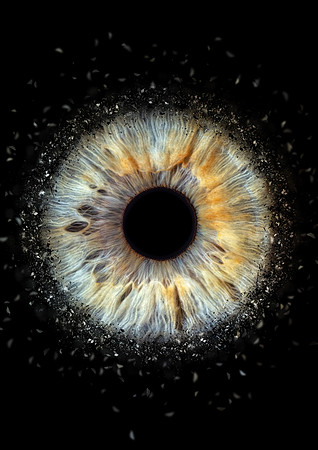 1 iris, efect gravity