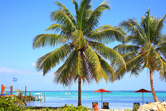 Sundancer_GrandCaribe-stock_008