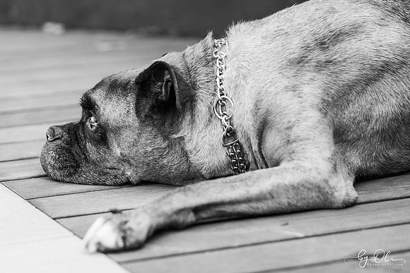 2025_06_12_a0044-2