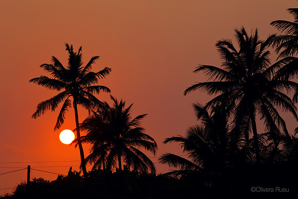 Sunset11_AC_005-OliRusu