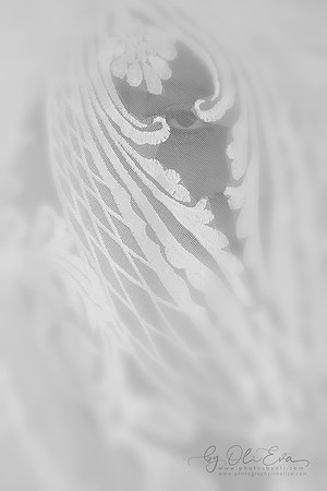 NO_12081_1-bw-web