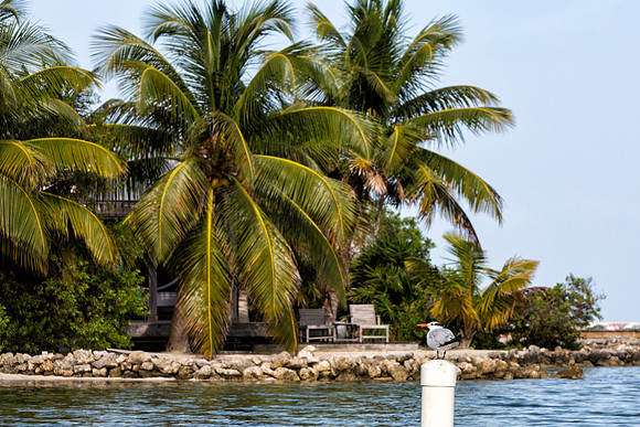 2013-10-03-Belize_004