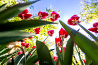 2024-04-03_126 -l