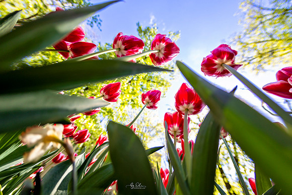 2024-04-03_126 -l