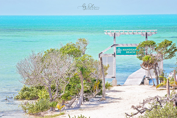 WBC_0020-l