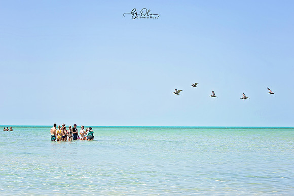 WBC_0053-l