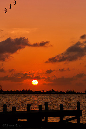 Sunset13_AC_011-OliveraRusu