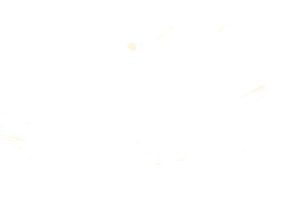 R96C4834