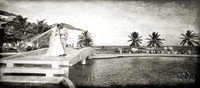 WED13_01-10-472-pan-bw
