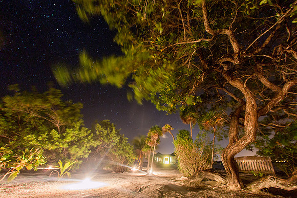 2013-11-21_night_027-1