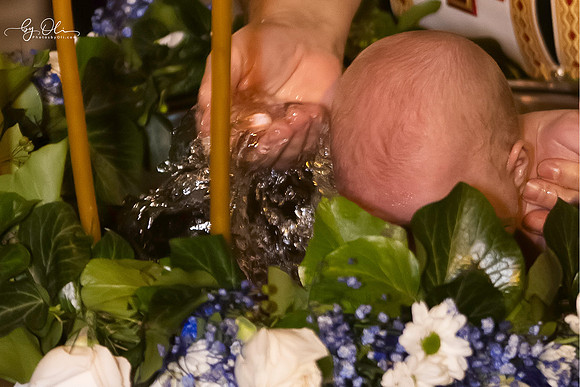 2024_01_26_c147-crop