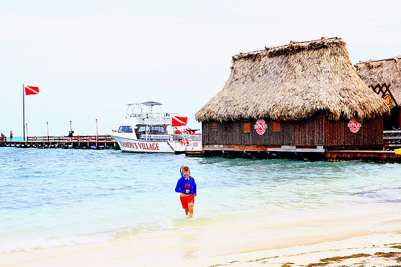 R96C7636