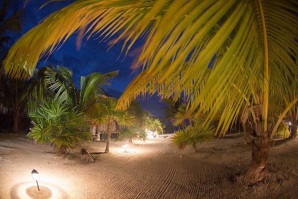 2013-11-21_night_006