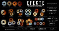 Efecte